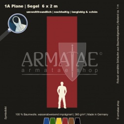 Plane 6X2M mit Schlaufen