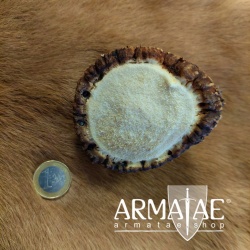 Hirschgeweih Rose groß bei Armatae.shop