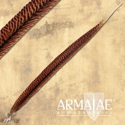 Goldfasan Feder 60 - 70 cm...