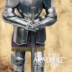 Rüstung Karl des 5. Replikat aus Toledo in Spanien bei https://armatae.shop Rüstung Karl des 5. Replikat aus Toledo in Spanien bei https://armatae.shop