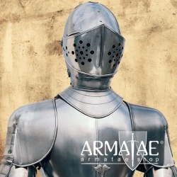 Rüstung Karl des 5. Replikat aus Toledo in Spanien bei https://armatae.shop Rüstung Karl des 5. Replikat aus Toledo in Spanien bei https://armatae.shop