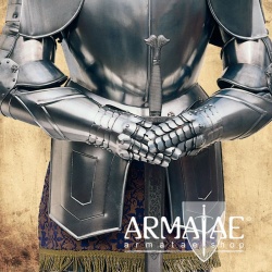 Rüstung Karl des 5. Replikat aus Toledo in Spanien bei https://armatae.shop Rüstung Karl des 5. Replikat aus Toledo in Spanien bei https://armatae.shop