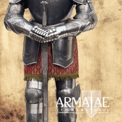 Rüstung Karl des 5. Replikat aus Toledo in Spanien bei https://armatae.shop Rüstung Karl des 5. Replikat aus Toledo in Spanien bei https://armatae.shop