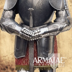 Rüstung Karl des 5. Replikat aus Toledo in Spanien bei https://armatae.shop Rüstung Karl des 5. Replikat aus Toledo in Spanien bei https://armatae.shop