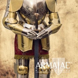 Rüstung Karl des 5. Replikat aus Toledo in Spanien bei https://armatae.shop Rüstung Karl des 5. Replikat aus Toledo in Spanien bei https://armatae.shop