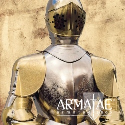 Rüstung Karl des 5. Replikat aus Toledo in Spanien bei https://armatae.shop Rüstung Karl des 5. Replikat aus Toledo in Spanien bei https://armatae.shop