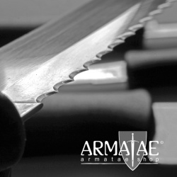 Profi Nassschliff mit K 1000 Stein und Handabzug auf https://armatae.shop