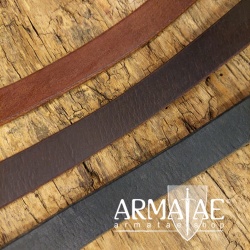 20 x 4 mm Lederriemen