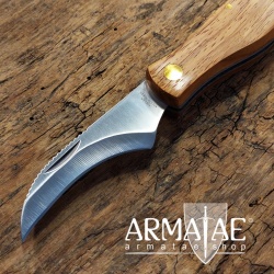 Pilzmesser 83368 mit 420er-Klinge rostfrei und fixer Bürste auf https://armatae.shop Pilzmesser 83368 mit 420er-Klinge rostfrei und fixer Bürste auf https://armatae.shop