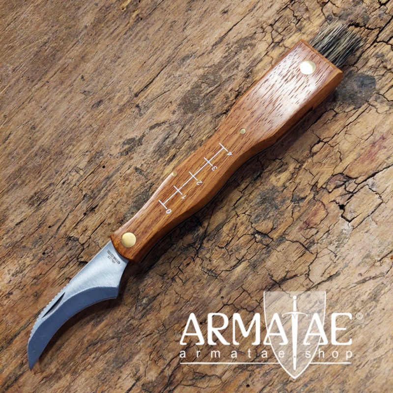 Pilzmesser 83285 mit klappbarer Bürste und 420er-Klinge auf https://armatae.shop Pilzmesser 83285 mit klappbarer Bürste und 420er-Klinge auf https://armatae.shop
