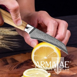 Armatae Cucina Oliva High End Damaststahl Messer auf https://armatae.shop Armatae Cucina Oliva High End Damaststahl Messer auf https://armatae.shop