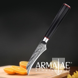 Armatae Cuoco pro Gastro High End Damaststahl Messer auf https://armatae.shop Armatae Cuoco pro Gastro High End Damaststahl Messer auf https://armatae.shop
