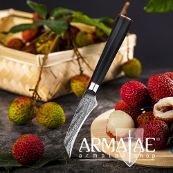 Armatae Cuoco pro Gastro High End Damaststahl Messer auf https://armatae.shop Armatae Cuoco pro Gastro High End Damaststahl Messer auf https://armatae.shop