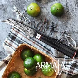 Armatae Cuoco pro Gastro High End Damaststahl Messer auf https://armatae.shop