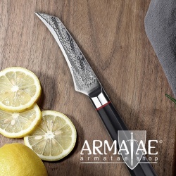 Armatae Cuoco pro Gastro High End Damaststahl Messer auf https://armatae.shop Armatae Cuoco pro Gastro High End Damaststahl Messer auf https://armatae.shop