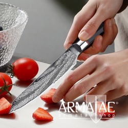 Armatae Cuoco pro Gastro High End Damaststahl Messer auf https://armatae.shop Armatae Cuoco pro Gastro High End Damaststahl Messer auf https://armatae.shop