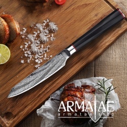 Armatae Cuoco pro Gastro High End Damaststahl Messer auf https://armatae.shop
