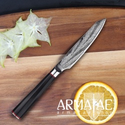 Armatae Cuoco pro Gastro High End Damaststahl Messer auf https://armatae.shop Armatae Cuoco pro Gastro High End Damaststahl Messer auf https://armatae.shop