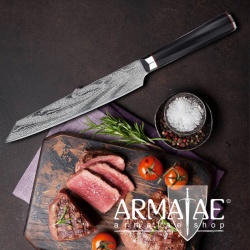Armatae Cuoco pro Gastro High End Damaststahl Messer auf https://armatae.shop Armatae Cuoco pro Gastro High End Damaststahl Messer auf https://armatae.shop