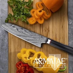 Armatae Cuoco pro Gastro High End Damaststahl Messer auf https://armatae.shop Armatae Cuoco pro Gastro High End Damaststahl Messer auf https://armatae.shop