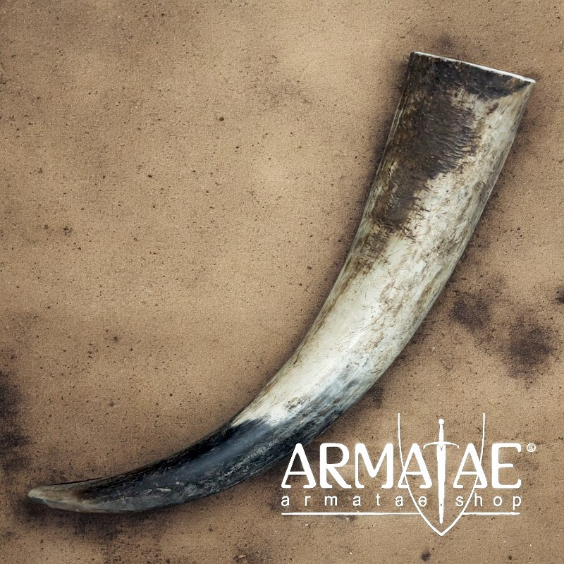 Trinkhorn Natur ca. 0,3 bis 0,39 lt auf https://armatae.shop Trinkhorn Natur ca. 0,3 bis 0,39 lt auf https://armatae.shop