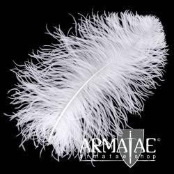 Male Wing 50 - 60 cm Weiß