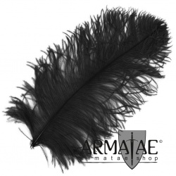Male Wing 50 - 60 cm Schwarz