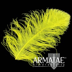 Male Wing 50 - 60 cm Gelb