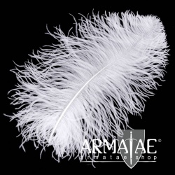 Male Wing 40 - 50 cm WeiĂź