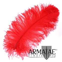 Male Wing 40 - 50 cm Rot