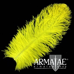Male Wing 40 - 50 cm Gelb