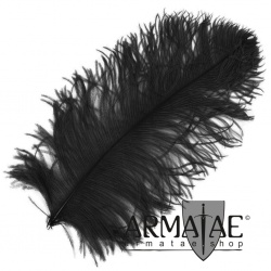Male Wing 40 - 50 cm Schwarz