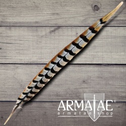 Fasan Feder 1. Wahl 40 - 45 cm